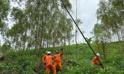 Tổng công ty Điện lực miền Bắc sẵn sàng các phương án đảm bảo cung cấp điện dịp nghỉ lễ Quốc khánh 2/9/2024