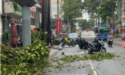 Một phụ nữ tử vong do nhánh cây rơi trúng đầu trong mưa lớn ở TPHCM