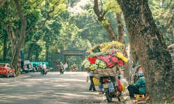 Dự báo thời tiết ngày 21/9: Bắc Bộ trời chuyển mát