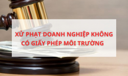 Hải Dương: Xử phạt hơn 300 triệu đồng doanh nghiệp không có giấy phép môi trường