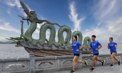 Giải chạy Marathon Di sản Hà Nội lần thứ 10 sẽ diễn ra vào đầu tháng 11/2024