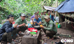 Gia Lai: Môi trường làm việc áp lực, chế độ đãi ngộ chưa tương xứng với lực lượng bảo vệ rừng