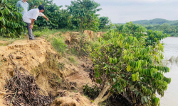 Kon Tum: Người dân bất an vì thủy điện tích nước gây sạt lở, ngập úng hoa màu