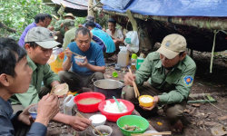 Thường trực HĐND tỉnh Gia Lai đề nghị gỡ khó cho lực lượng bảo vệ rừng