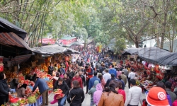 Hà Nội: Tạm dừng các lễ hội chưa khai mạc, phòng chống dịch nCoV