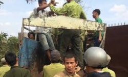 Lào Cai: 16 năm tù cho nhóm lâm tặc tấn công cán bộ kiểm lâm