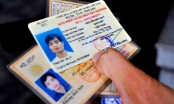 Hà Nội: Thí điểm cấp, đổi giấy phép lái xe trực tuyến