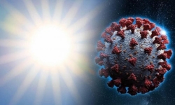 Ánh sáng mặt trời là 'khắc tinh' của Virus SARS-CoV-2