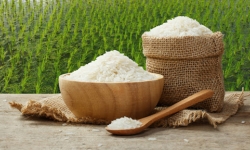 Thái Lan xuất khẩu gạo tăng mạnh trở lại