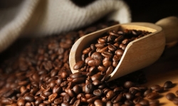 Giá cà phê hôm nay 30/5 tiếp tục giảm 200 đồng/kg, hồ tiêu vụt tăng mạnh