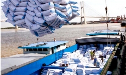 Việt Nam sắp soán ngôi quán quân xuất khẩu gạo của Thái Lan