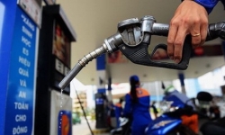 Giá xăng dầu hôm nay 12/6: Đồng loạt giảm mạnh trong bối cảnh triển vọng kinh tế Mỹ ảm đạm