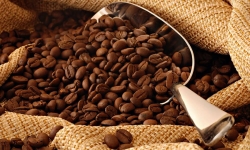 Giá cà phê hôm nay 12/6 giảm mạnh, hồ tiêu đi ngang