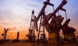 Giá xăng dầu hôm nay 14/6: Tăng mạnh trước thông tin OPEC+ cắt giảm nguồn cung