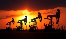 Giá xăng dầu hôm nay 16/6: Lạc quan về cam kết cắt giảm sản lượng của OPEC+, dầu tăng mạnh trở lại