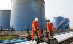 Giá xăng dầu hôm nay (19/8): Lo ngại xung đột kinh tế Mỹ -Trung tiếp tục leo thang, dầu quay đầu giảm