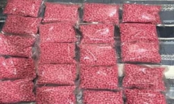Nghệ An: Phá đường dây vận chuyển 12.000 viên ma túy tổng hợp