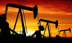 Giá xăng dầu hôm nay (25/8): Triển vọng phục hồi kinh tế khả quan, giá dầu tăng trở lại