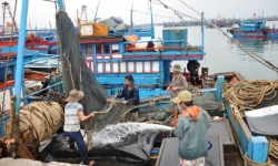 Quảng Nam: Học sinh nghỉ học, ngư dân về bờ tránh bão số 5