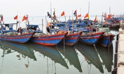 Hà Tĩnh: Gần 200 tàu thuyền cập bến trú bão số 5 an toàn