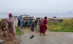 Đà Nẵng: Hỗ trợ ngư dân đưa tàu thuyền về nơi tránh trú bão số 5