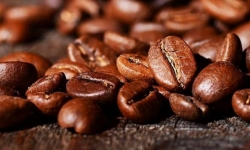 Giá cà phê hôm nay 17/9: Tăng nhẹ vượt mốc 33.000 đồng/kg