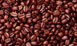 Giá cà phê hôm nay 18/9: Không nhiều thay đổi, cao nhất là 32.800 đồng/kg