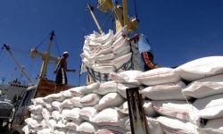 Gạo Việt Nam đẩy mạnh xuất khẩu vào EU những tháng cuối năm nhờ EVFTA