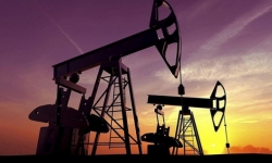 Giá xăng dầu hôm nay 24/9: Lượng tồn kho giảm, giá dầu tiếp tục tăng
