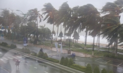 Áp thấp nhiệt đới mạnh lên thành bão số 9 đang tiến vào Biển Đông