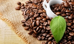 Giá cà phê ngày 25/10: Tăng nhẹ so với đầu tuần