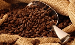 Giá cà phê hôm nay 11/11: Sắp chạm mốc 34.000 đồng/kg