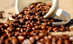 Giá cà phê hôm nay 12/11: Chạm mốc 34 triệu đồng/tấn
