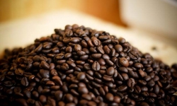 Giá cà phê hôm nay 14/11: Tăng nhẹ phiên cuối tuần