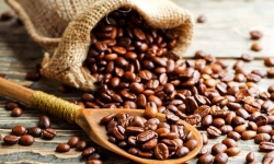 Giá cà phê hôm nay 19/11/2020: Lao dốc về mốc 33.000 đồng/kg