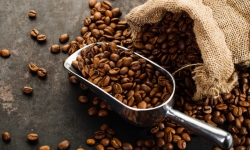 Giá cà phê hôm nay 1/12: Giảm nhẹ 200 - 300 đồng/kg phiên đầu tháng