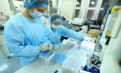 Chưa phát hiện có biến thể mới của virus SARS-CoV-2 ở Việt Nam