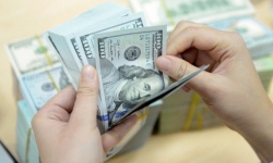 Tỷ giá ngoại tệ hôm nay 24/1: Đồng USD tăng trước số liệu lạc quan của kinh tế Mỹ