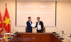 Báo điện tử VietnamPlus và công ty giải pháp công nghệ Insider hợp tác thúc đẩy chuyển đổi số trong báo chí