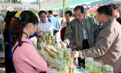 Quảng Ninh: Nhiều sản phẩm dược liệu quý được giới thiệu tại Lễ hội Trà hoa vàng huyện Ba Chẽ