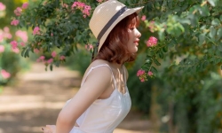 'Trai xinh, gái đẹp' mê mẩn check-in “khu vườn cổ tích” rực rỡ sắc hồng tường vi ở Hà Nội