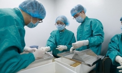 Thời sự 24H ngày 30/6: Việt Nam đẩy nhanh nghiên cứu vaccine Covid-19
