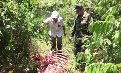 Đồng Nai: Điều tra nhóm đối tượng giết bò tót trong Vườn quốc gia Cát Tiên