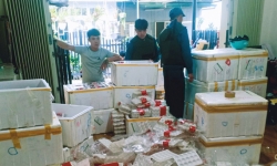 Thu giữ 370kg dâu tây Trung Quốc gắn mác Đà Lạt sắp tuồn ra chợ