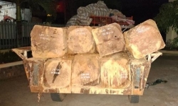 Đắk Lắk: Phát hiện, bắt giữ liên tiếp các vụ vận chuyển gỗ trái phép