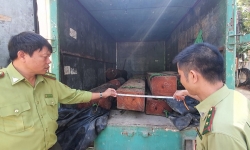 Lâm Đồng: Bị chốt chặn, nhóm lâm tặc lao xe vào lực lượng kiểm lâm để thoát thân