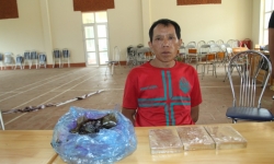 Lào Cai: Phá chuyên án 'khủng', bắt giữ 1 đối tượng vận chuyển 3 bánh heroin và hơn 800g thuốc phiện