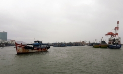 Bình Định: Sẵn sàng sơ tán 14.500 hộ dân tránh bão số 5