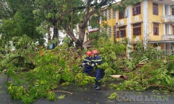 Bão số 5 gây thiệt hại lớn cho tỉnh Thừa Thiên Huế