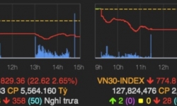 Chứng khoán ngày 30/6: VN-Index lui về quanh ngưỡng 800 điểm?